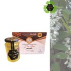 Termelői akácméz 500g -díjazott