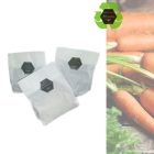 Szárított sárgarépa 100g  