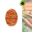 Szárított sárgarépa 100g  